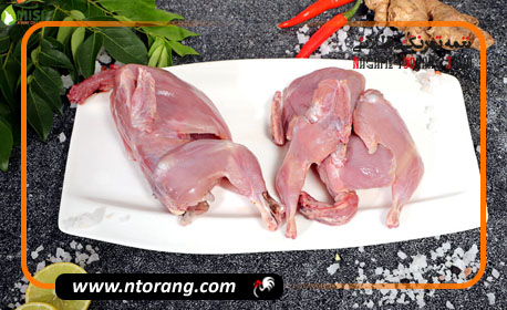 مهمترین خواص و مزایای گوشت بلدرچین